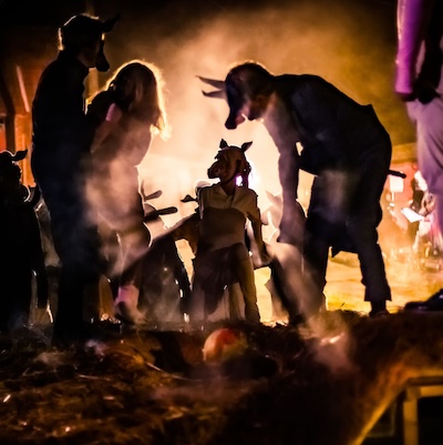 Animal farm - De Schaduw