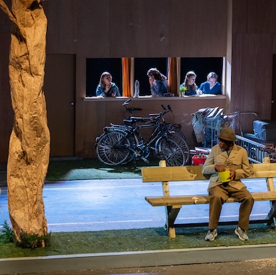 De intrede - De Schaduw